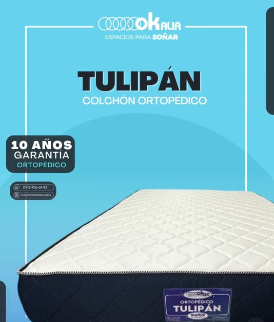 Okalia Tulipan